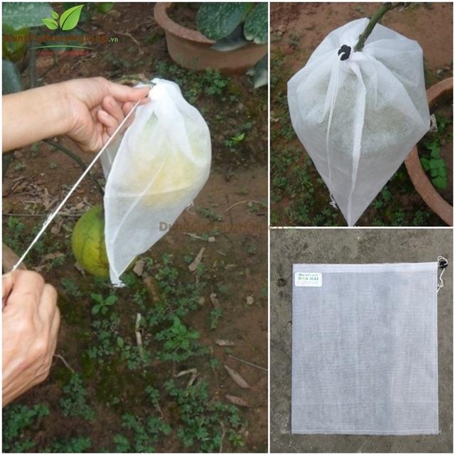 Bộ 100 túi bọc trái  KT 25x30cm