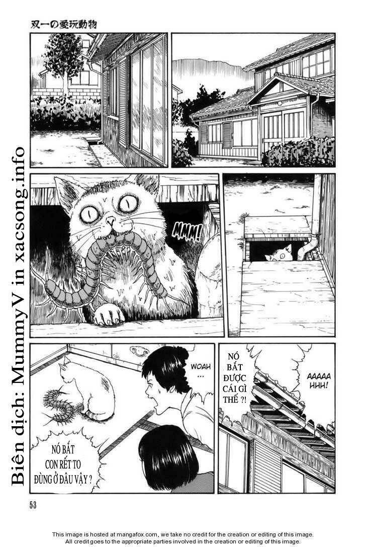 new voices in the dark chapter 2 17