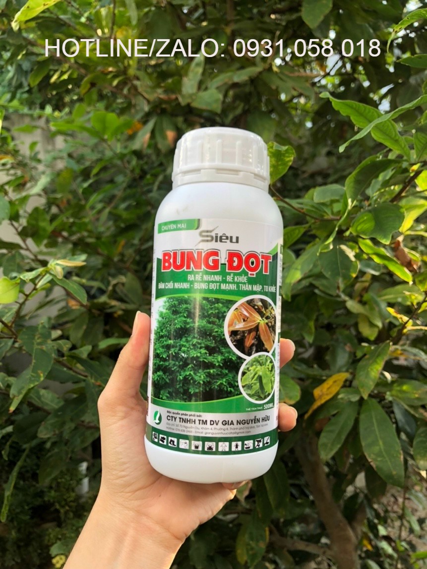 PHÂN BÓN GIÚP BẬT CHỒI, BUNG ĐỌT, PHỤC HỒI CÂY, SINH TRƯỞNG TỐT - SIÊU BUNG ĐỌT (CHAI 500ML VÀ CHAI 1 LÍT)