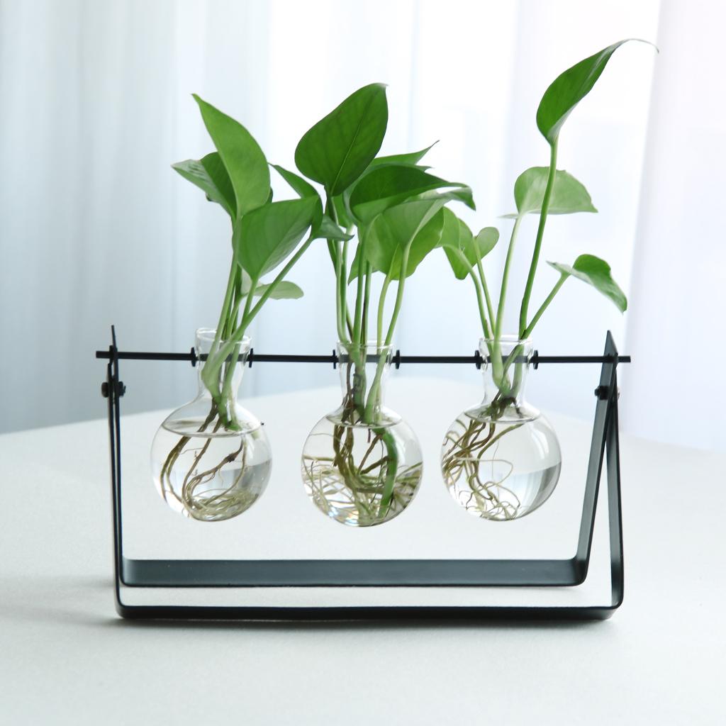 Ball Shape Glass Flower vase Hydroponic Bottle Terrarium With Iron Stand