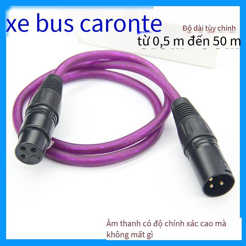 Ưu đãi đặc biệt XLR cân bằng nam và nữ Bộ trộn dòng Canon effector bộ khuếch đại công suất đường kết nối đường mở rộng micrô sang đường công cộng hoa sen