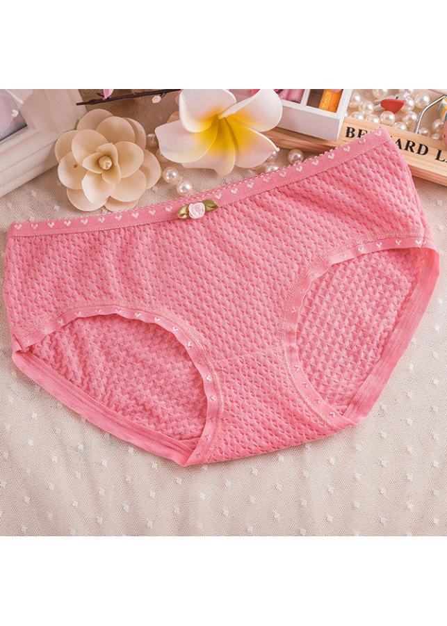 Combo 5 quần lót nữ Cotton QL 8108-1