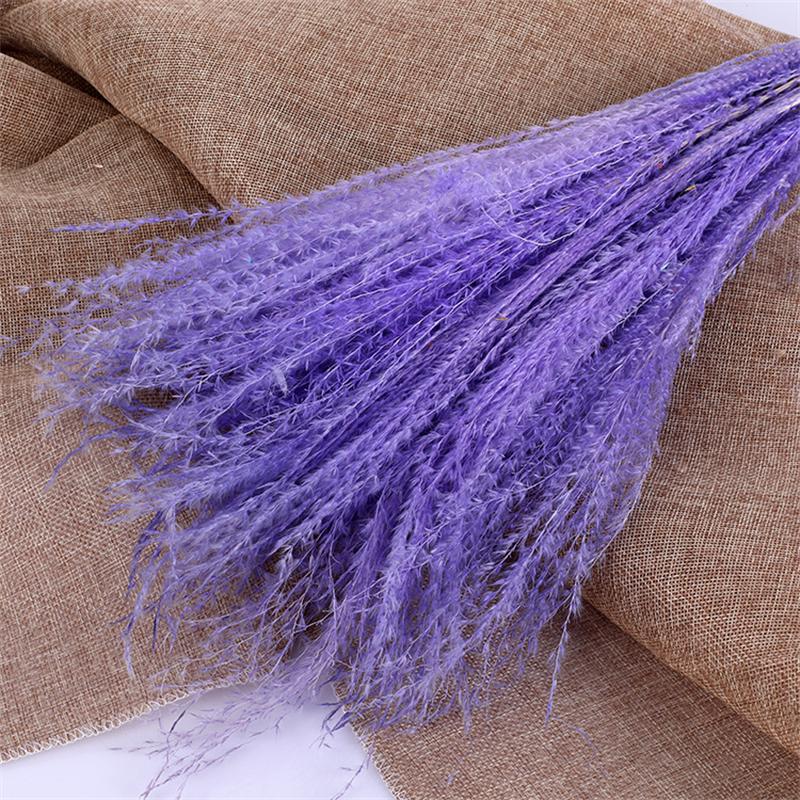Tự Nhiên Đánh Hoa Khô Reed Pampa Secas Navidad Pampas Cỏ Trang Trí Tiệc Cưới Hoa Déco Artificielles Giáng Sinh