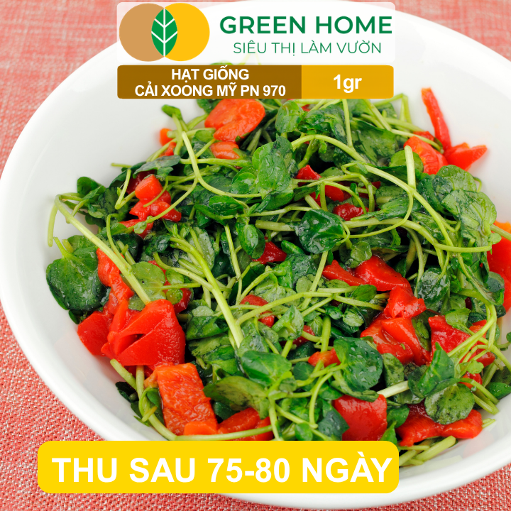 Hạt Giống Rau Xà Lách Xoong GreenHome, Gói 1gr, Dễ Trồng, Nảy Mầm Cao, Thu Hoạch Nhanh R01