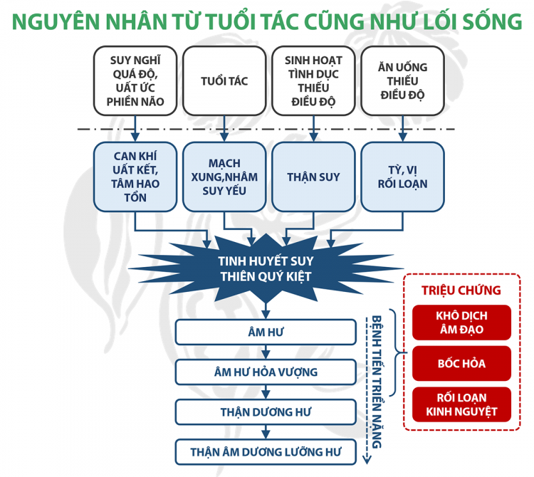 Thực phẩm chức năng Giáng hỏa sinh tân 1