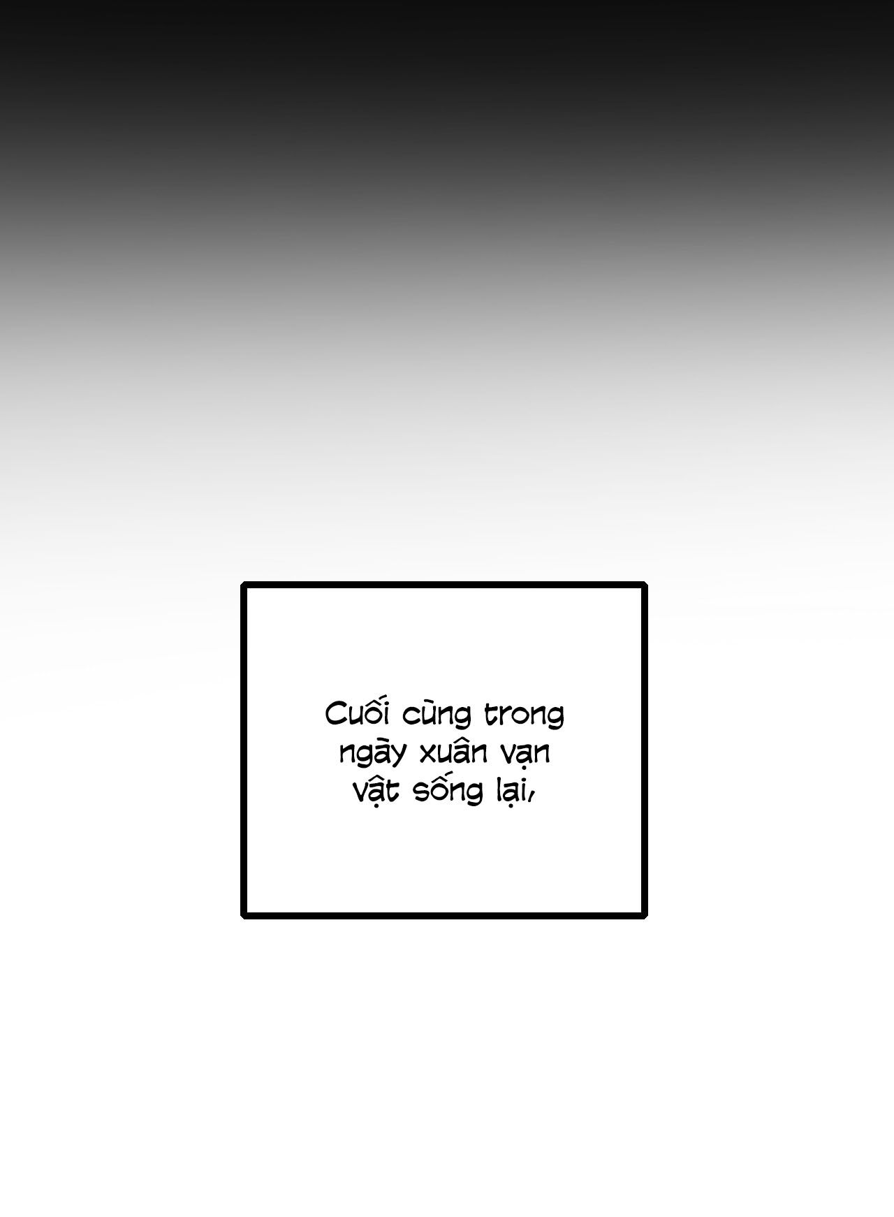 tức thời phạm quy [ tức thì vi quy ] chapter 21 13