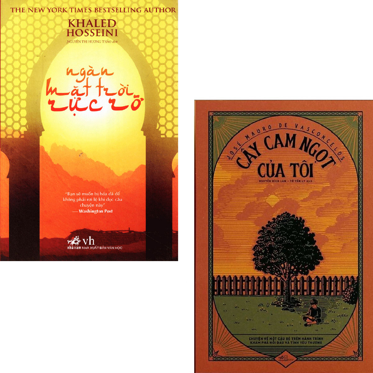 Combo Ngàn Mặt Trời Rực Rỡ + Cây Cam Ngọt Của Tôi