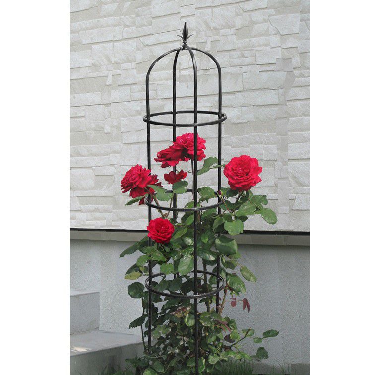 Khung trồng hoa hồng cao 120cm màu đen đường kính chậu 21cm bền trên 5 năm ở nhiệt độ ngoài trời