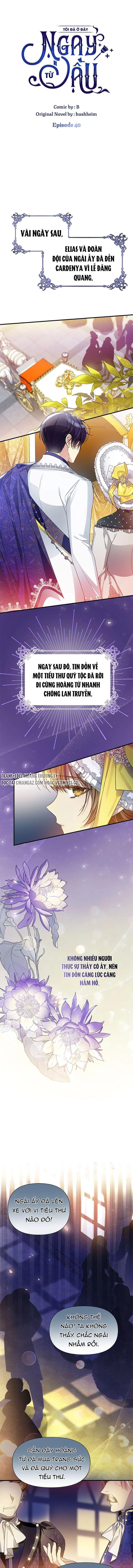 tôi đã ở đây ngay từ đầu chapter 40 7