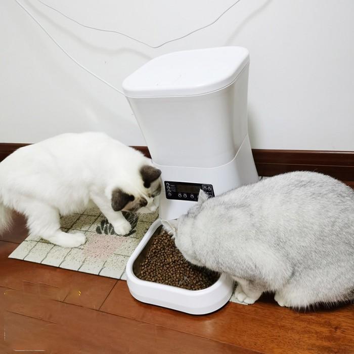 Máy Cho Chó Mèo ăn Tự động Dung Tích 11L Size To