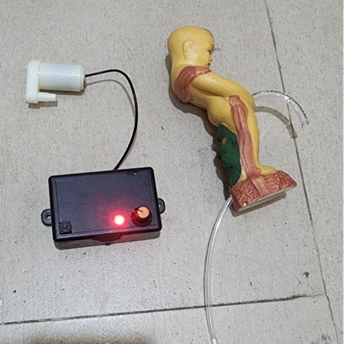 Combo chế bình rót rươu điện tử cảm ứng kèm chú tiểu