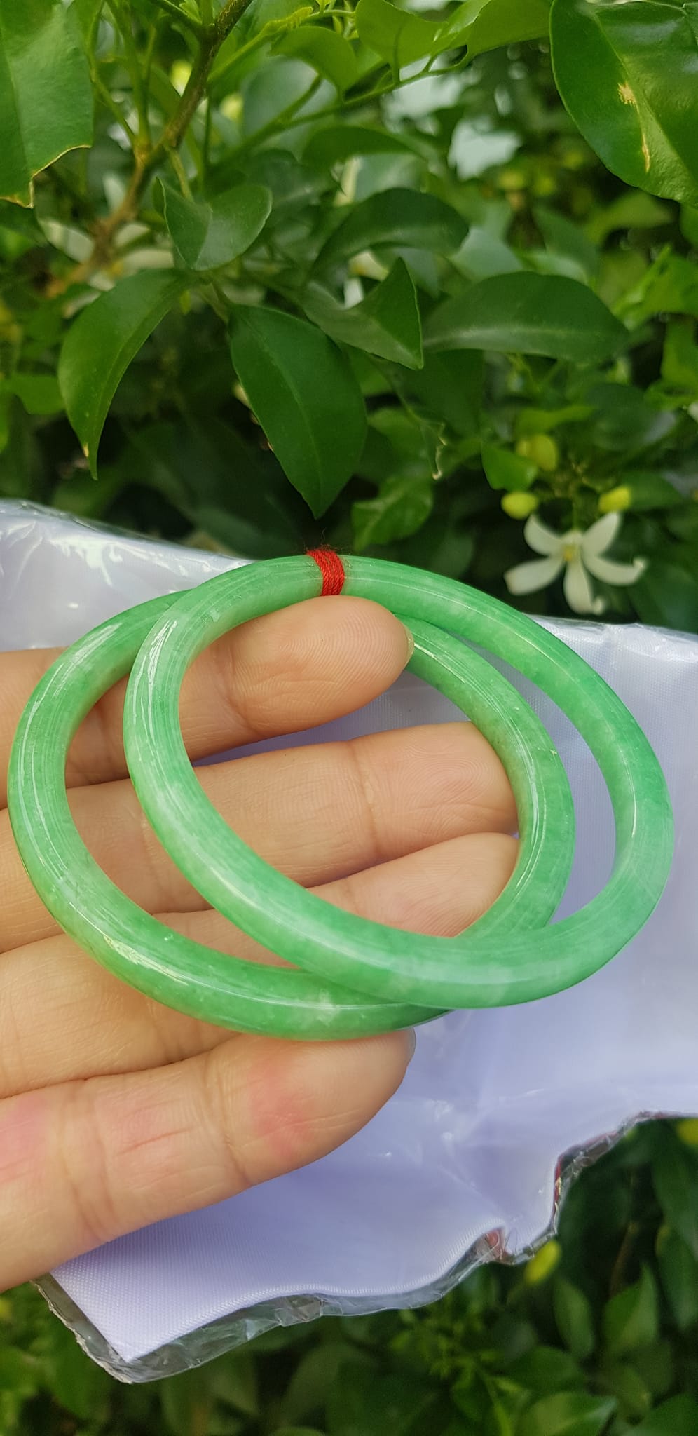 ️Cặp vòng tay đá ngọc cẩm thạch bản vuông V Đậu 50mm Size vòng 50mm x dầy 5mm x bản mỏng cao 5mm màu xanh lá ngọc đậu đều bóng đẹp Nữ Mệnh Mộc Hoả Thủy 49kg - 53kg đeo ạ