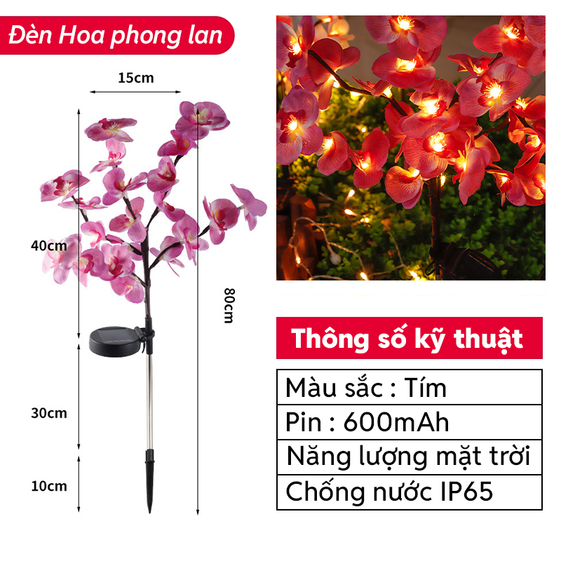 Đèn Trang Trí Năng Lượng Mặt Trời Hoa Phong Lan, Tấm Năng Lượng Silicon Tinh Thể, Tự Động Sáng - DA3061