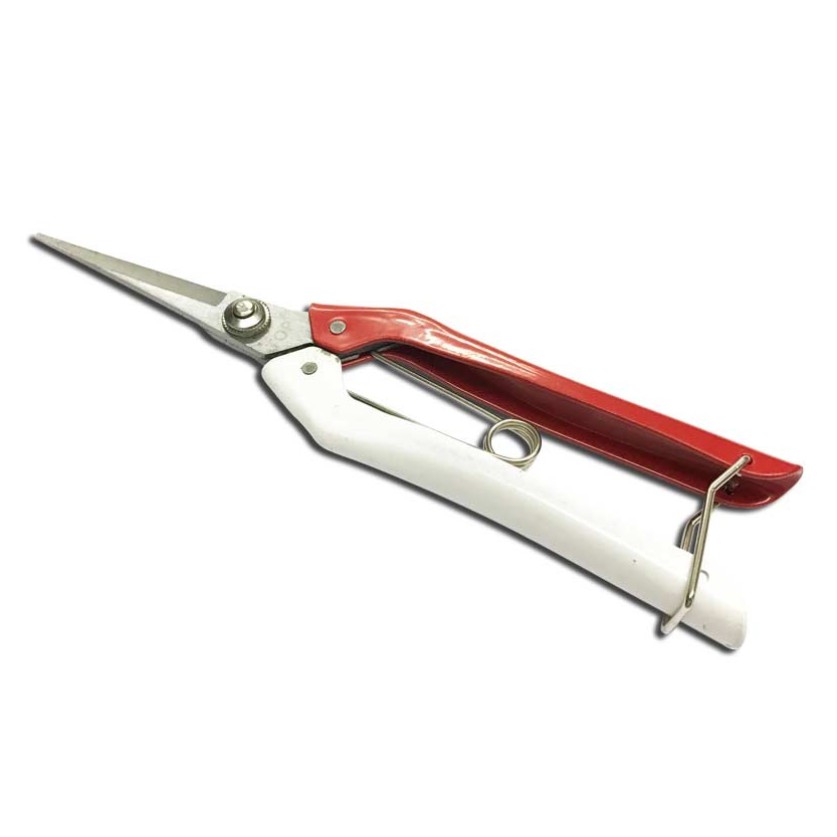Kéo cắt kiểng nhọn Top KM-NHTDO 8inch - Chính Hãng