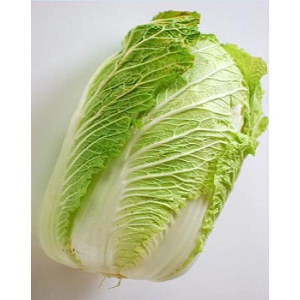 Hạt giống rau cải thảo - 1 gói 0.2gram