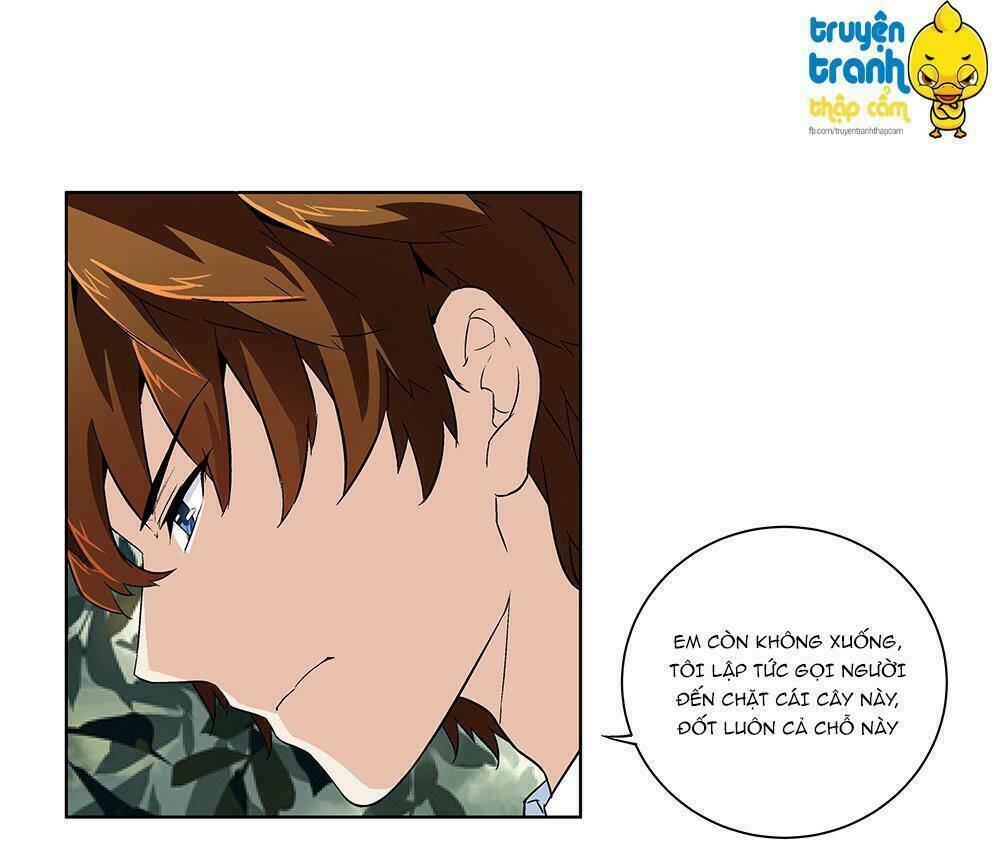 cường sủng hào môn tiểu manh thê chapter 3 11