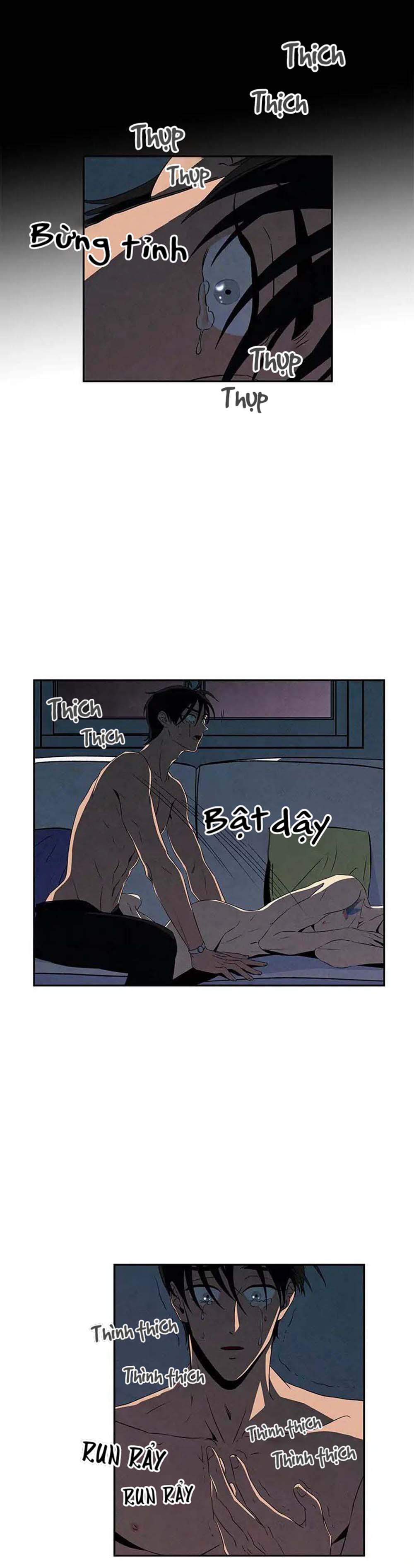 bona sort chapter 11 20