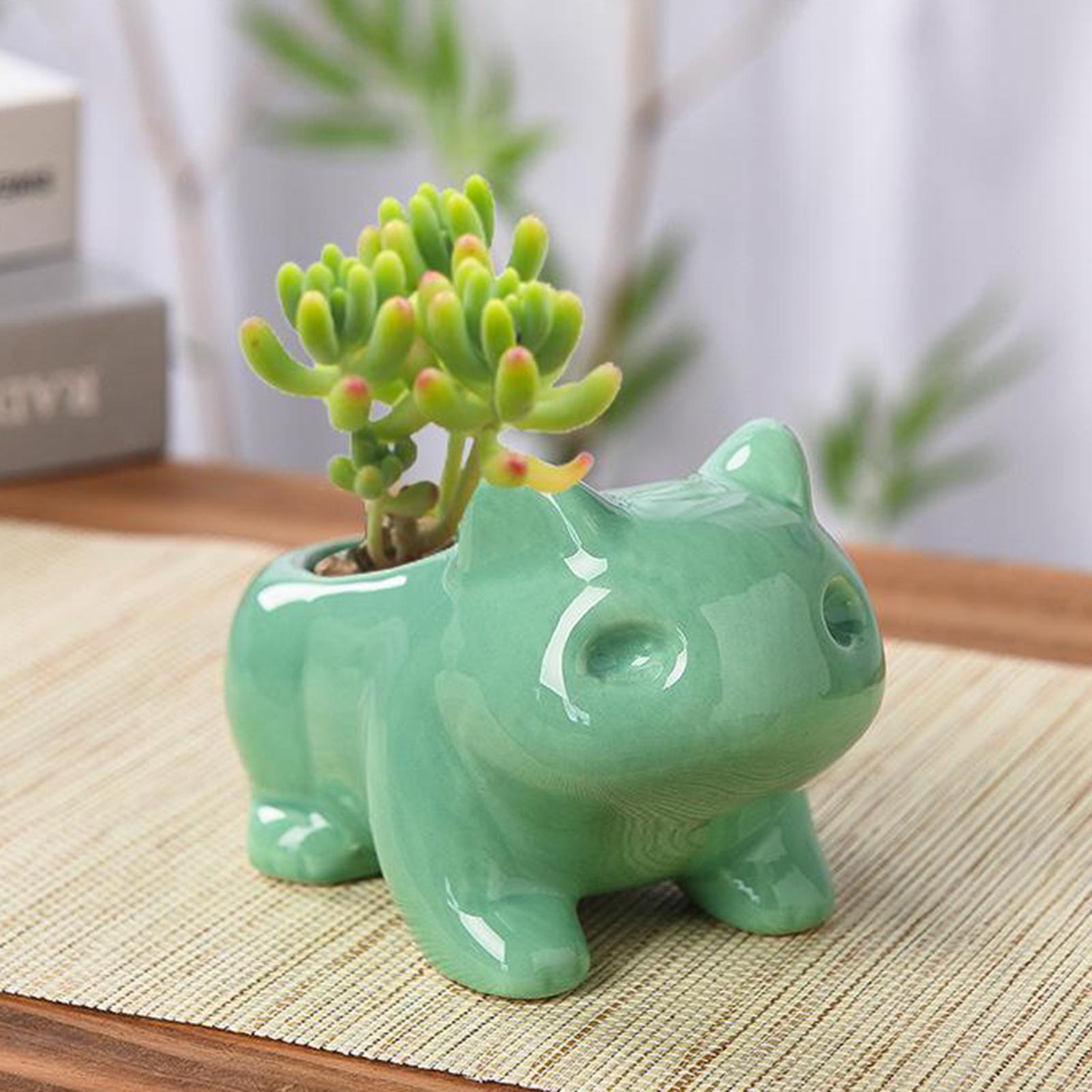 Cute Cartoon Frog Shaped Ceramic Succulent Cactus Pot Decor M