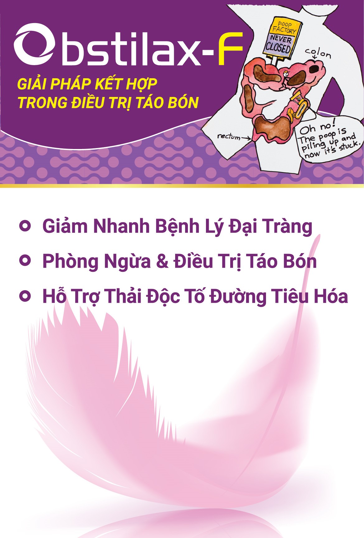 Thực Phẩm Bảo Vệ Sức Khỏe Obstilax-F