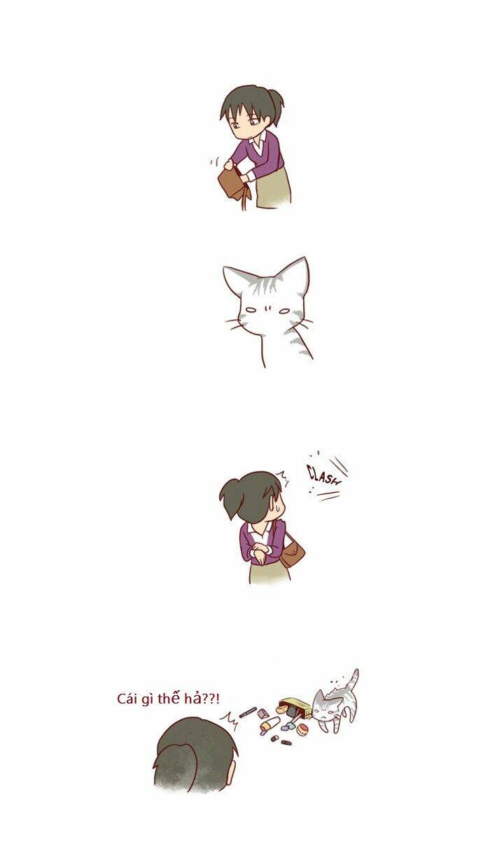 my kitty and old dog chapter 5 2