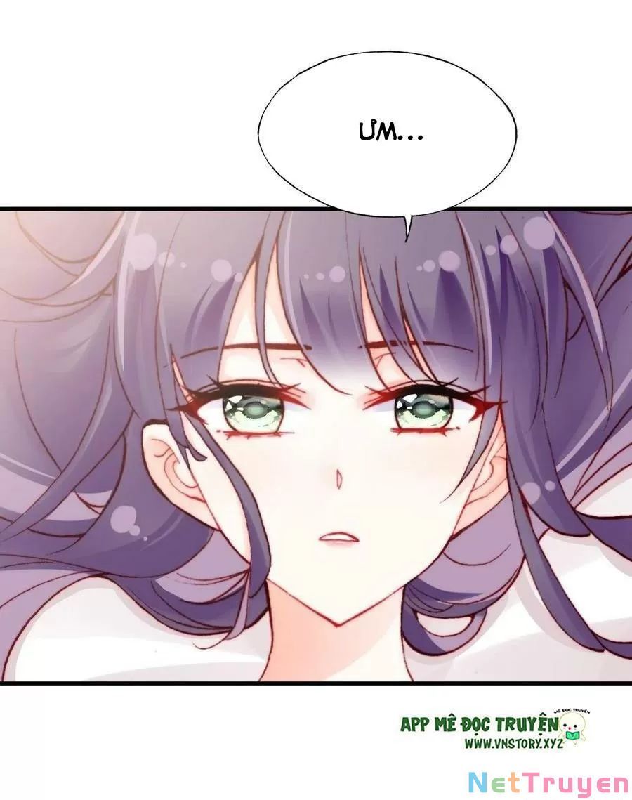 lại bị bệnh chiều chuộng quấn lấy chapter 61 15