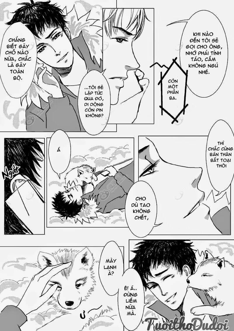 sự mê hoặc của sói chapter 3 6
