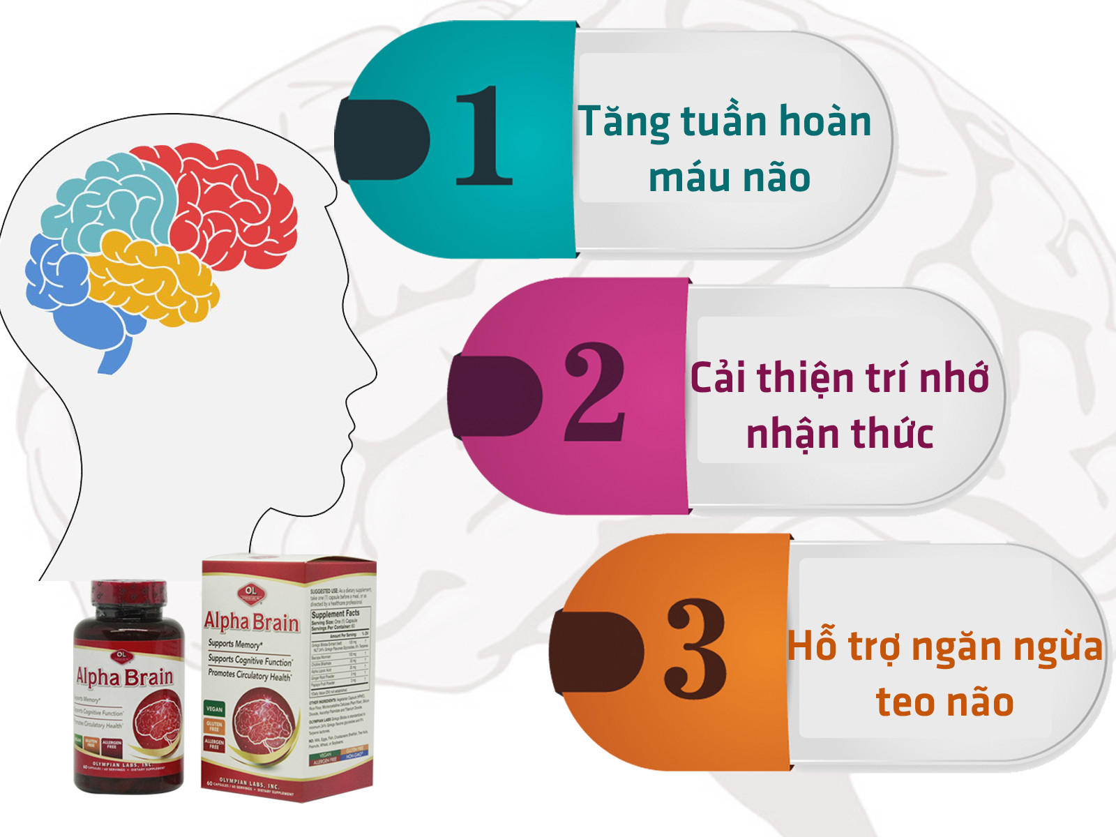 Viên Uống Olympian Labs Alpha Brain Bổ Não, Tăng Cường Tuần Hoàn Máu Não - Hộp 60 Viên