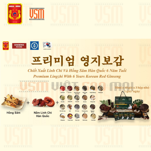 COMBO 2 Hộp Chiết Xuất Linh Chi & Hồng Sâm Hàn Quốc 6 Năm Tuổi Ginseng House - 60 gói