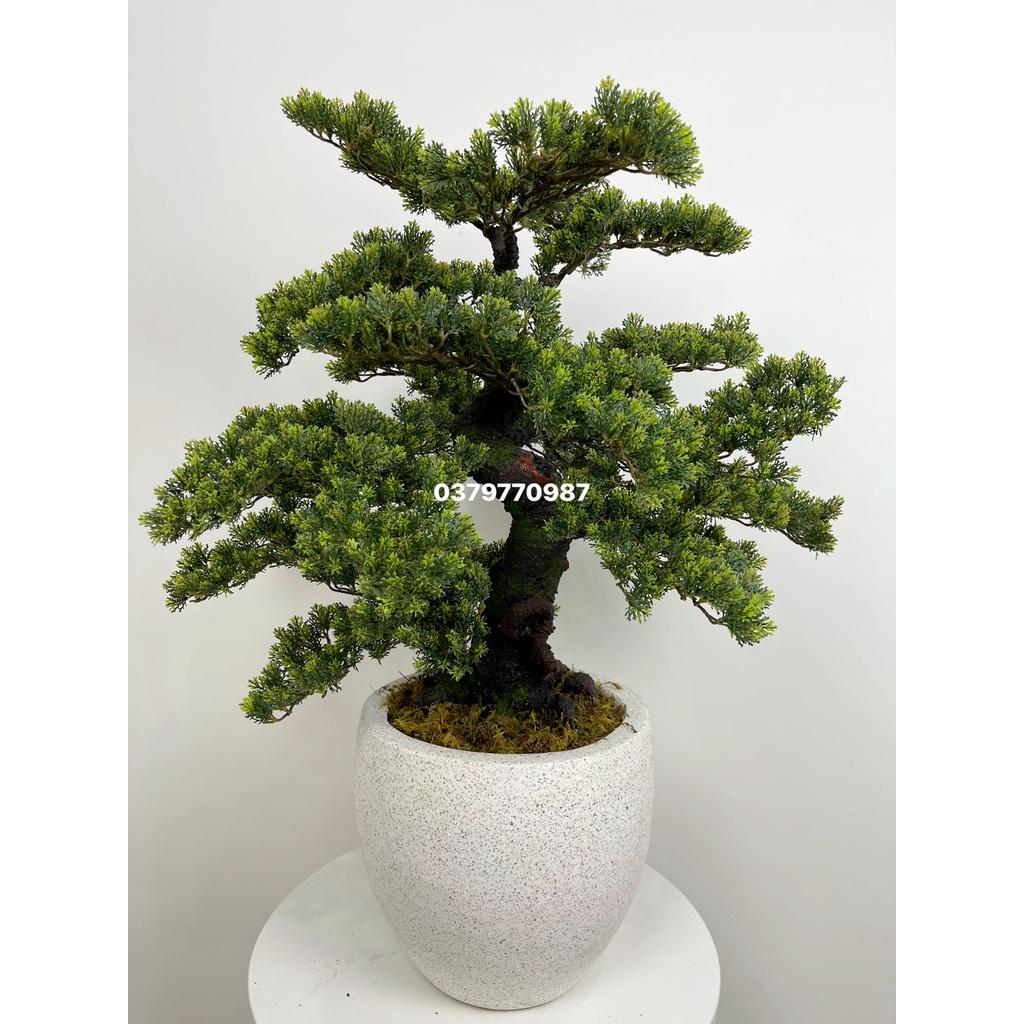 Cây Tùng Giả Lá Ngắn, Cây Bonsai giả Decor trang trí nhà cửa