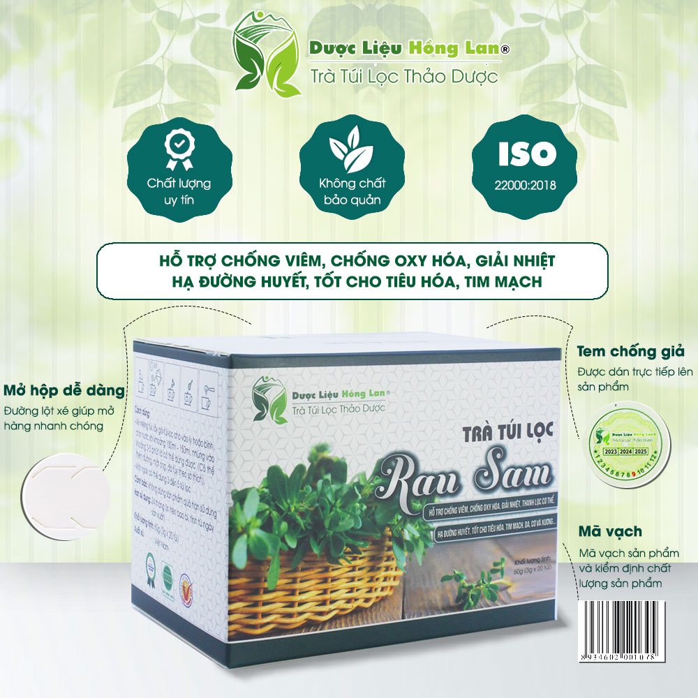 Trà Rau Sam túi lọc hộp 60g Cty Dược Liệu Hồng Lan
