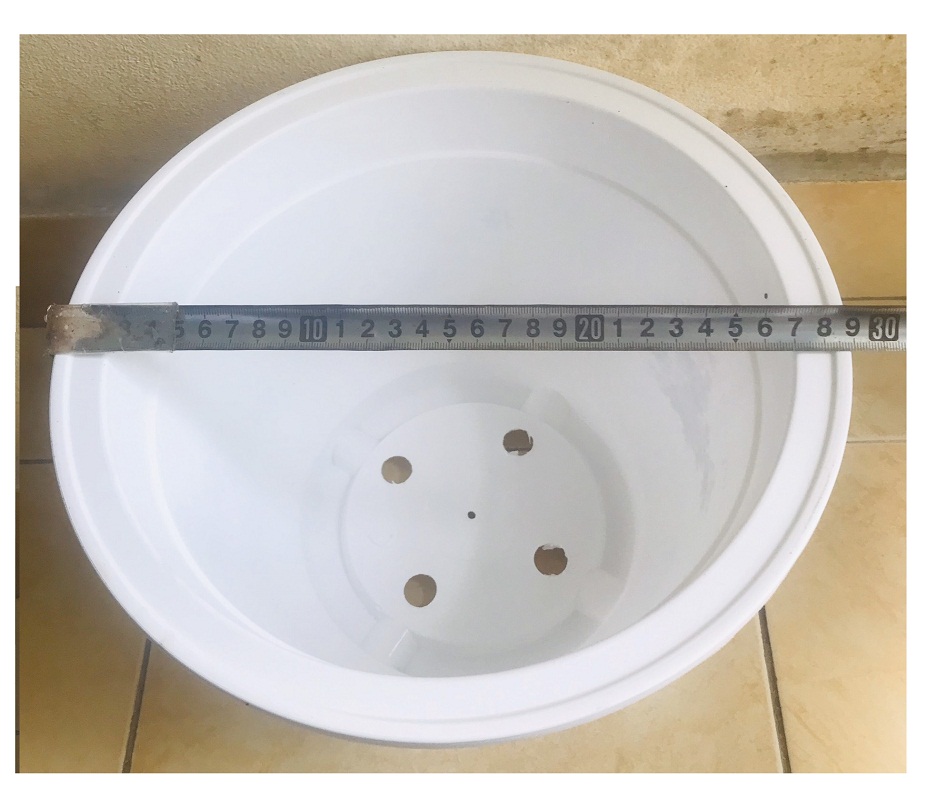 3 Châu Nhựa BỐN MÙA Hình Tròn Màu Trắng Kích Thước A330 VN