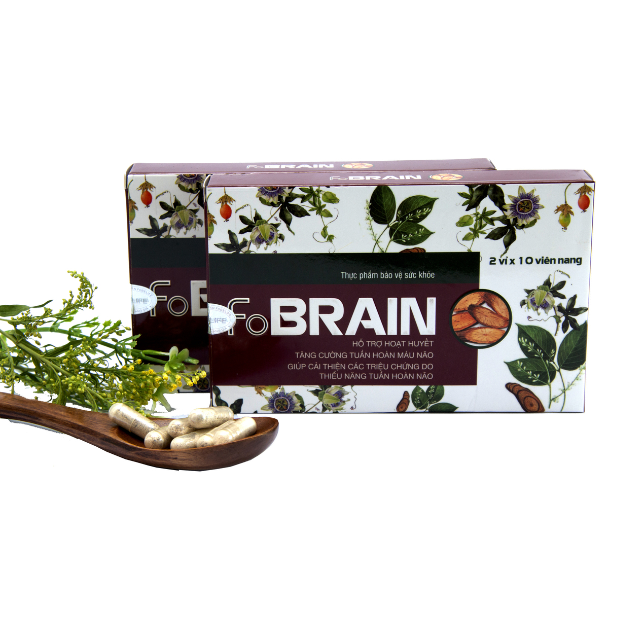 Viên Uống Giảm Rối Loạn Tiền Đình Giảm Đau Đầu Hoa Mắt Chóng Mặt FoBrain - Hộp 20 viên