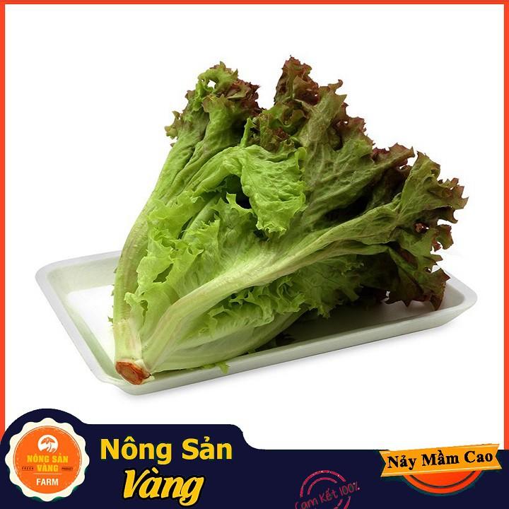 Hạt giống Xà Lách Tím Năng Suất Cao ( Gói 1 Gram ) - Nông Sản Vàng