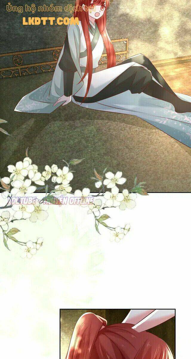 hắc hóa nam chính trực tuyến nuôi thỏ chapter 29 21