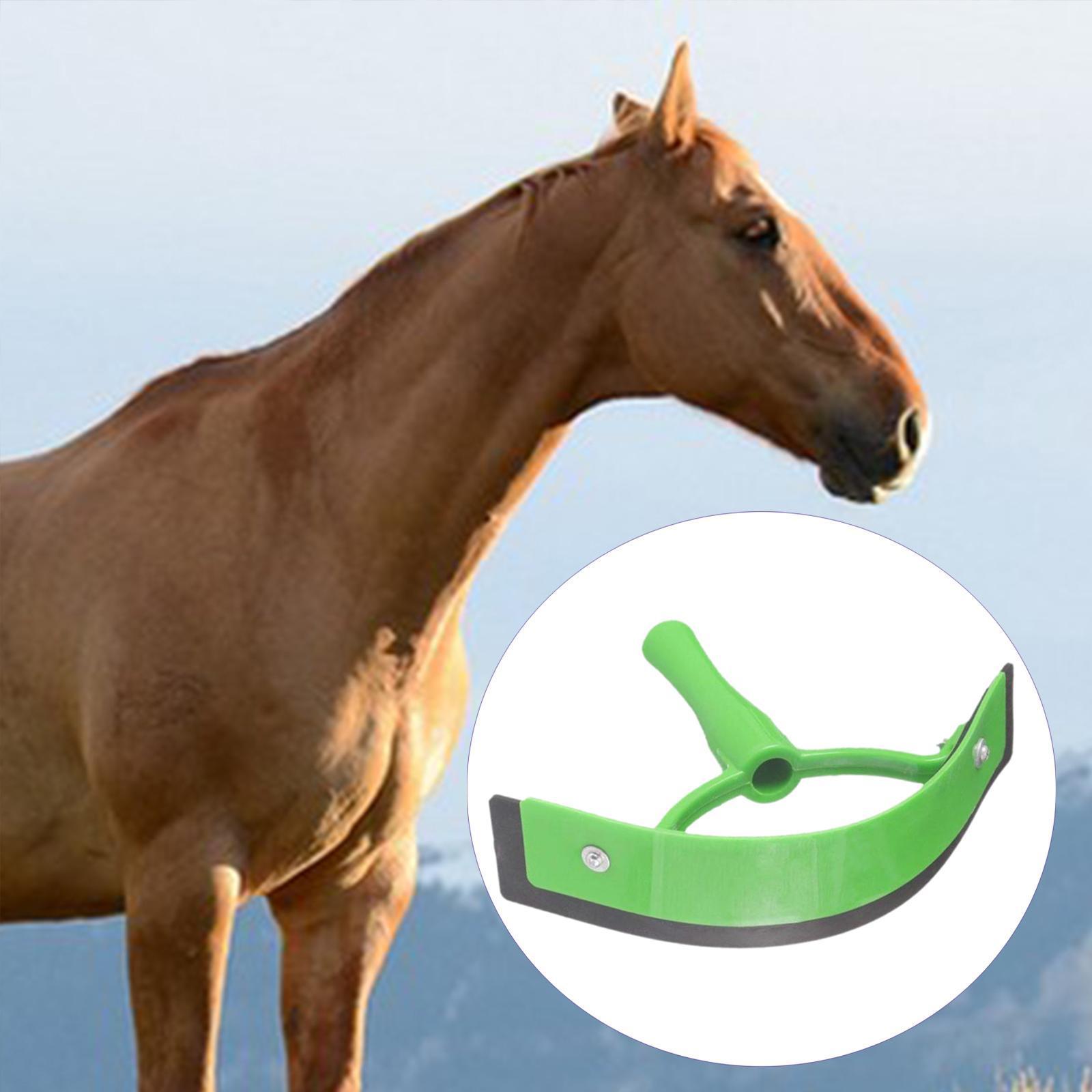 Animal Equine Sweat Scraper Durable Horse Cleaning Brush