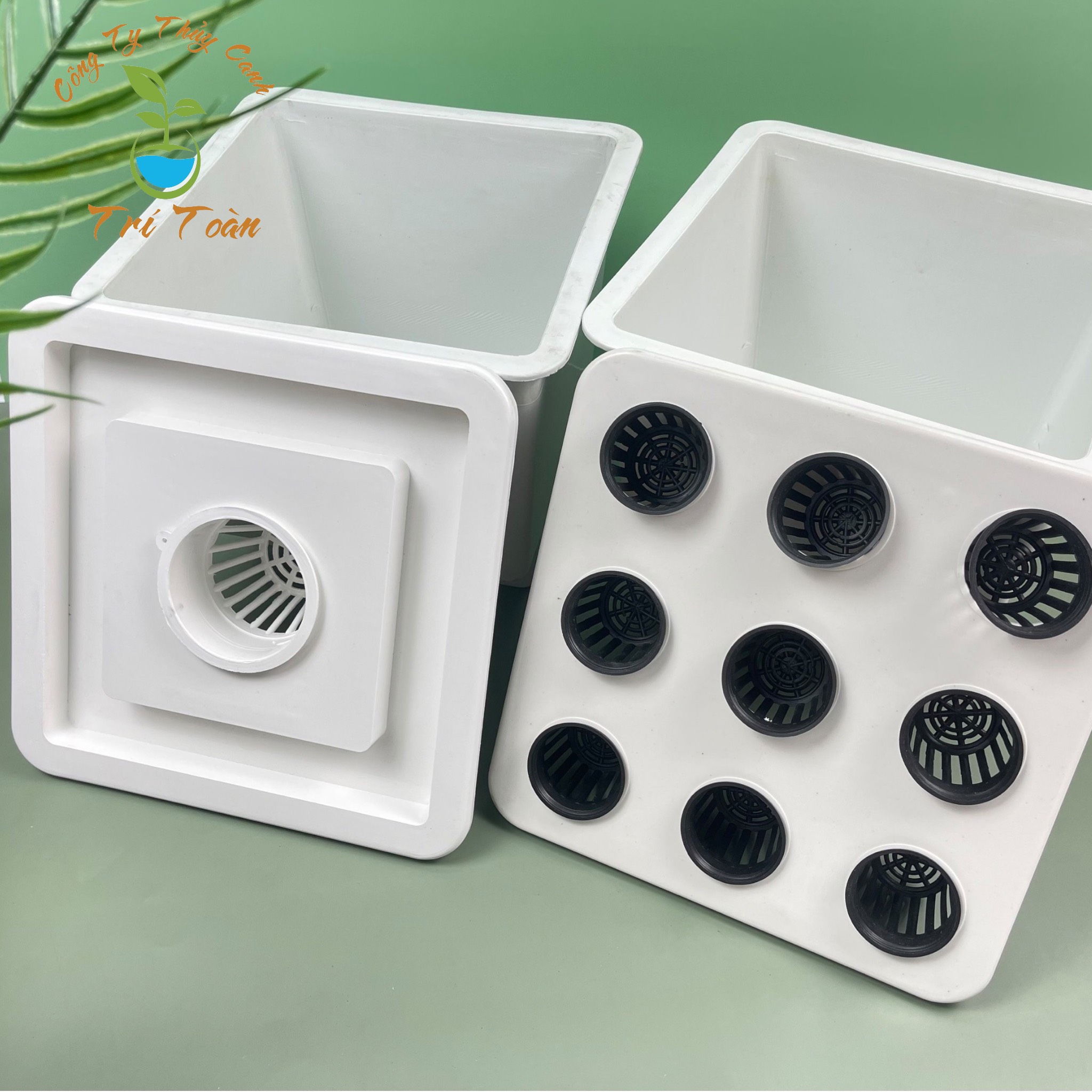 (Combo 6 thùng) Thùng nhựa trồng rau thủy canh tĩnh combo trồng rau ăn lá và ăn trái (3 thùng ăn lá, 3 thùng ăn trái)