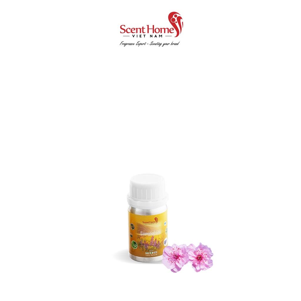 Tinh dầu Scent Homes - mùi hương