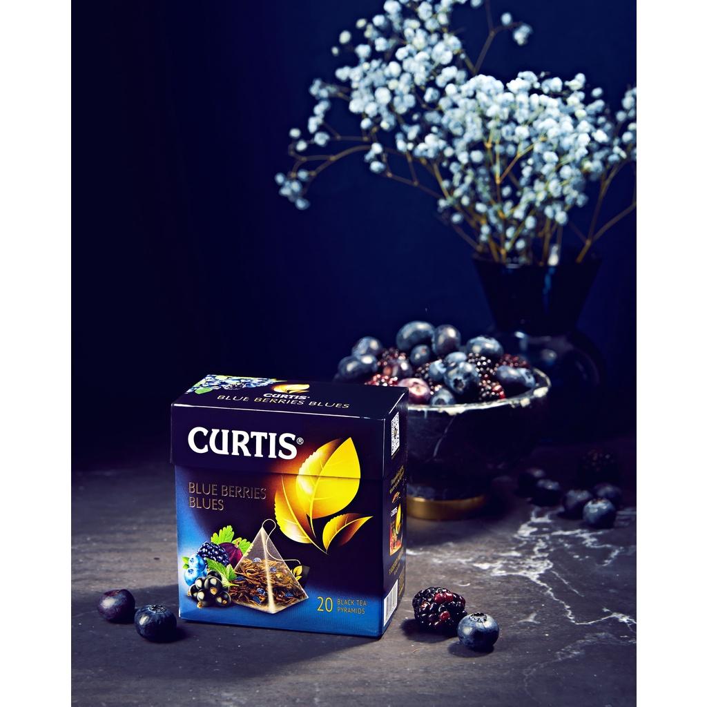 Trà Đen Túi Lọc Hiệu Curtis Hương Việt Quất, Lý Chua Đen – Tea Curtis Blue Berries Blues