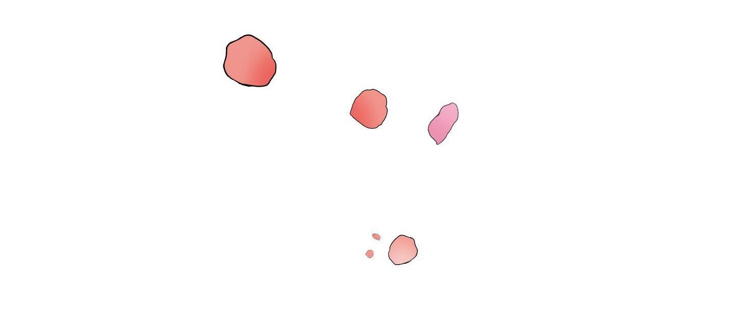 định tên mối quan hệ chapter 20 18