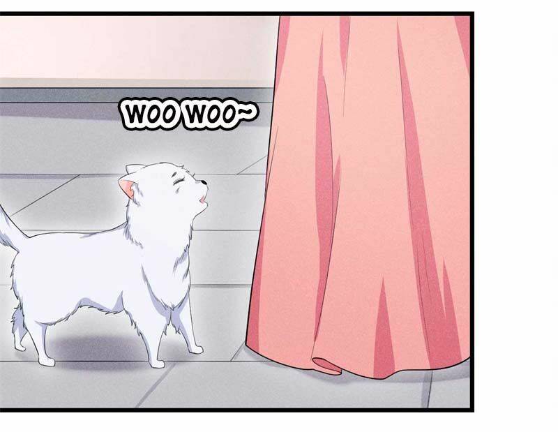 hoàng tử phu quân, ta nuôi ngươi a! chapter 26 12