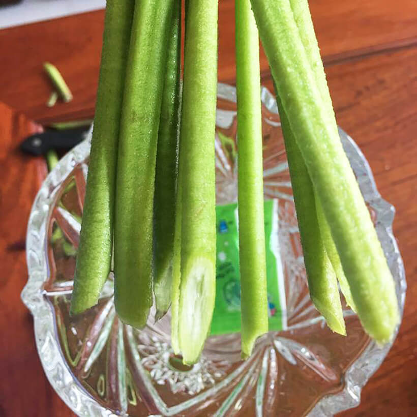 Bột cắm hoa cắt cành Longlife SG của Israel - Food For Cut Flower , giúp shop hoa bảo quản hoa tươi lâu và không thay nước, cắt tỉa gốc hay hạn chế thay hoa định kỳ theo tuần