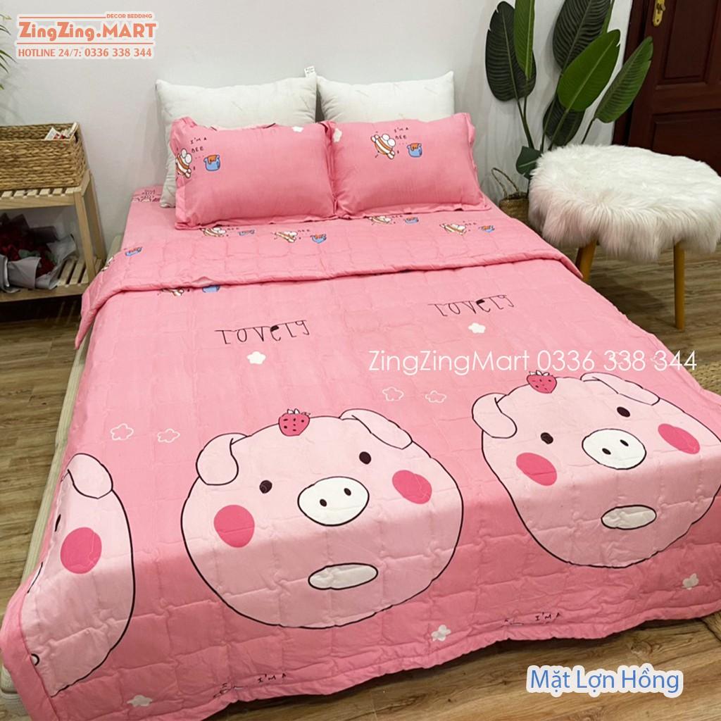 Bộ 5 Món Chăn Hè Ga Gối Kèm Vỏ Gối Ôm Poly kích thước M2/M6/M8/2M2 Mẫu Bò Xám