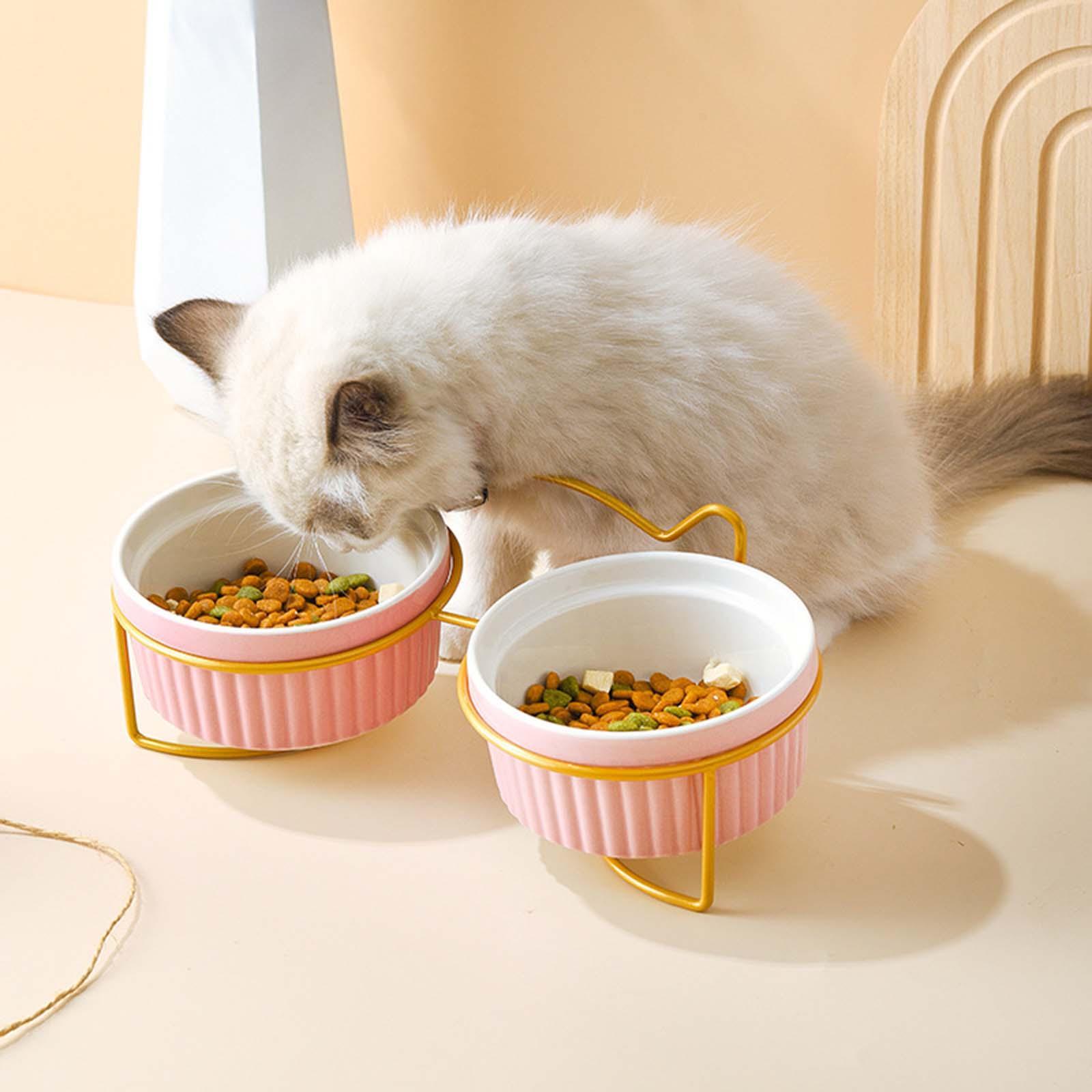 Raised Cat Food Bowl Food Dispenser Dog Bowl Water Food Feeder Bowl Cat Dish