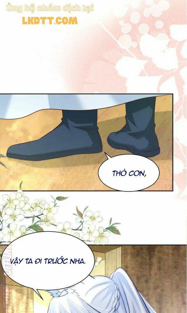 hắc hóa nam chính trực tuyến nuôi thỏ chapter 41 9