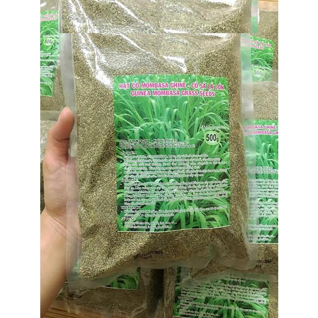 Hạt giống cỏ chăn nuôi Mombasa Ghine  KNS3737 - Gói 50gram