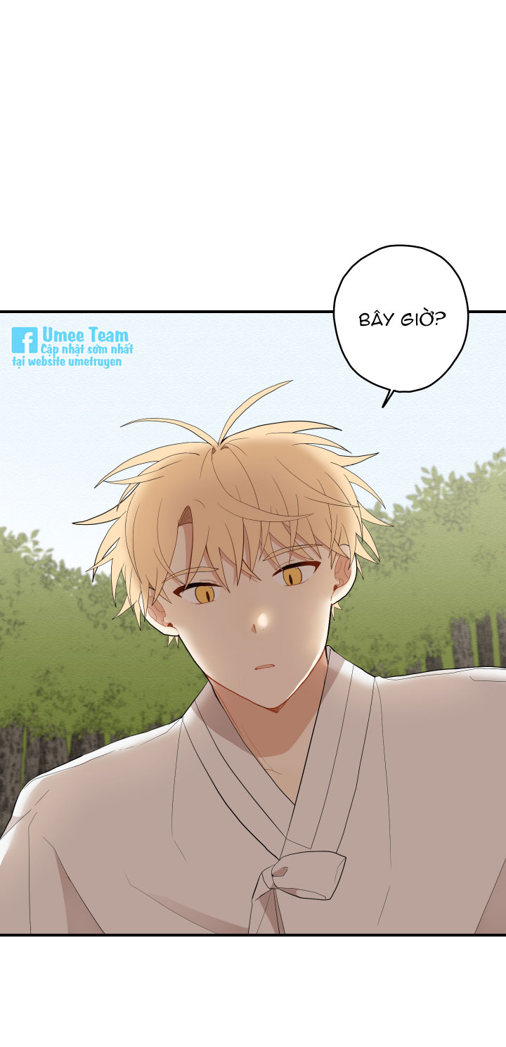 đường hoa liên kiều rơi chapter 19 17