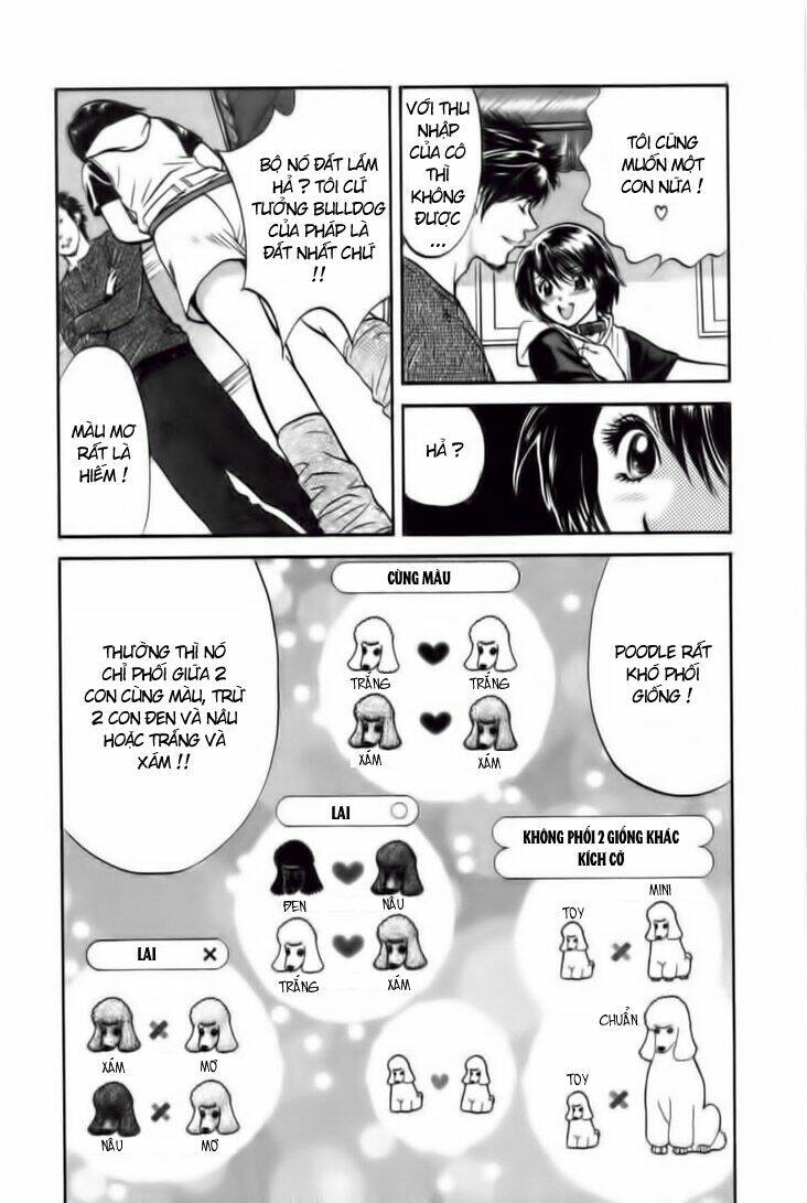 cô nàng yêu chó chapter 24 4