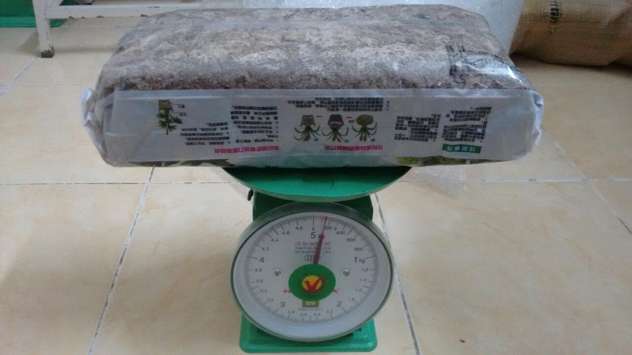 TẢO KHÔ - Tảo Mỹ - GIÁ THỂ TRỒNG LAN