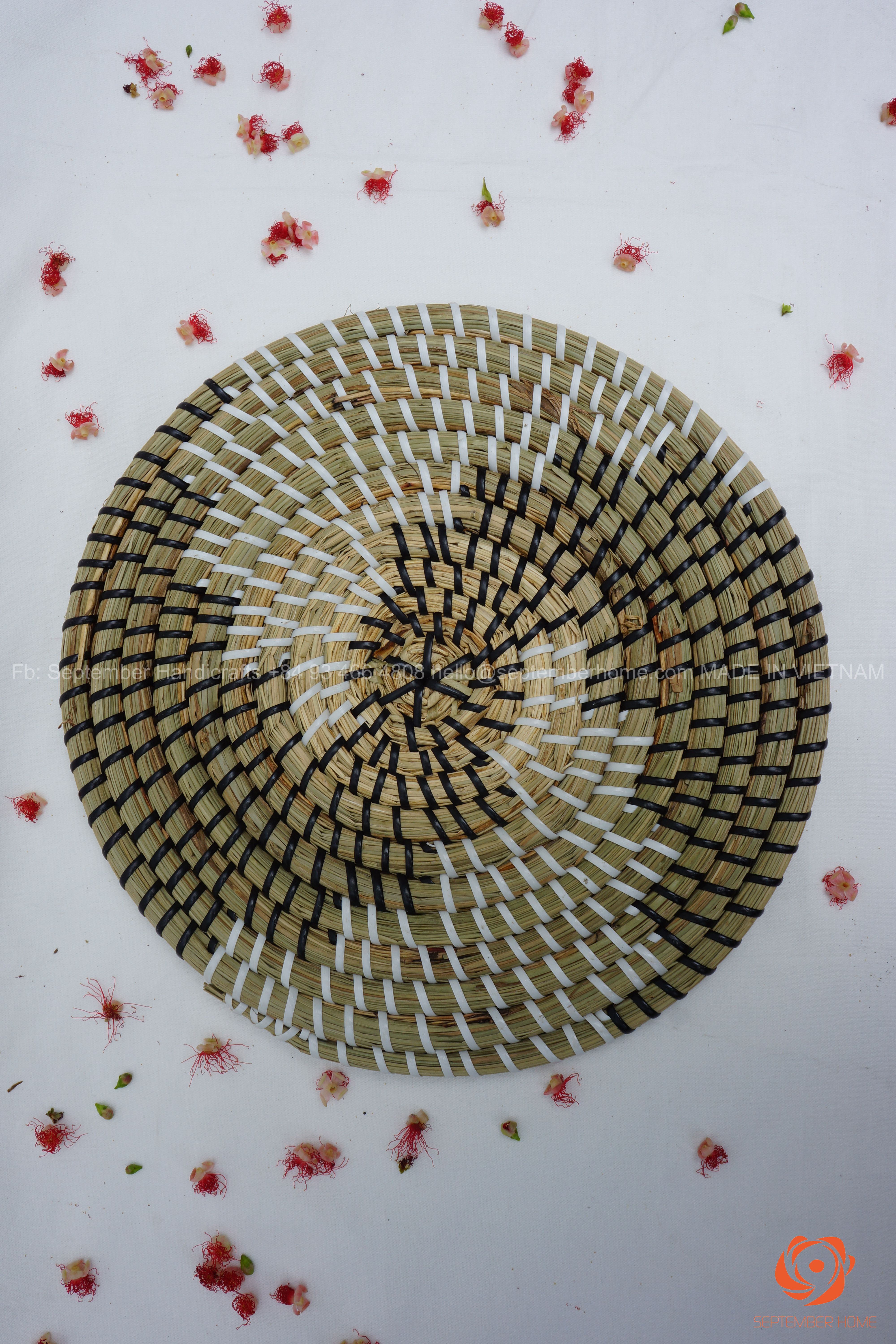 Dĩa Cói Hình Chữ S