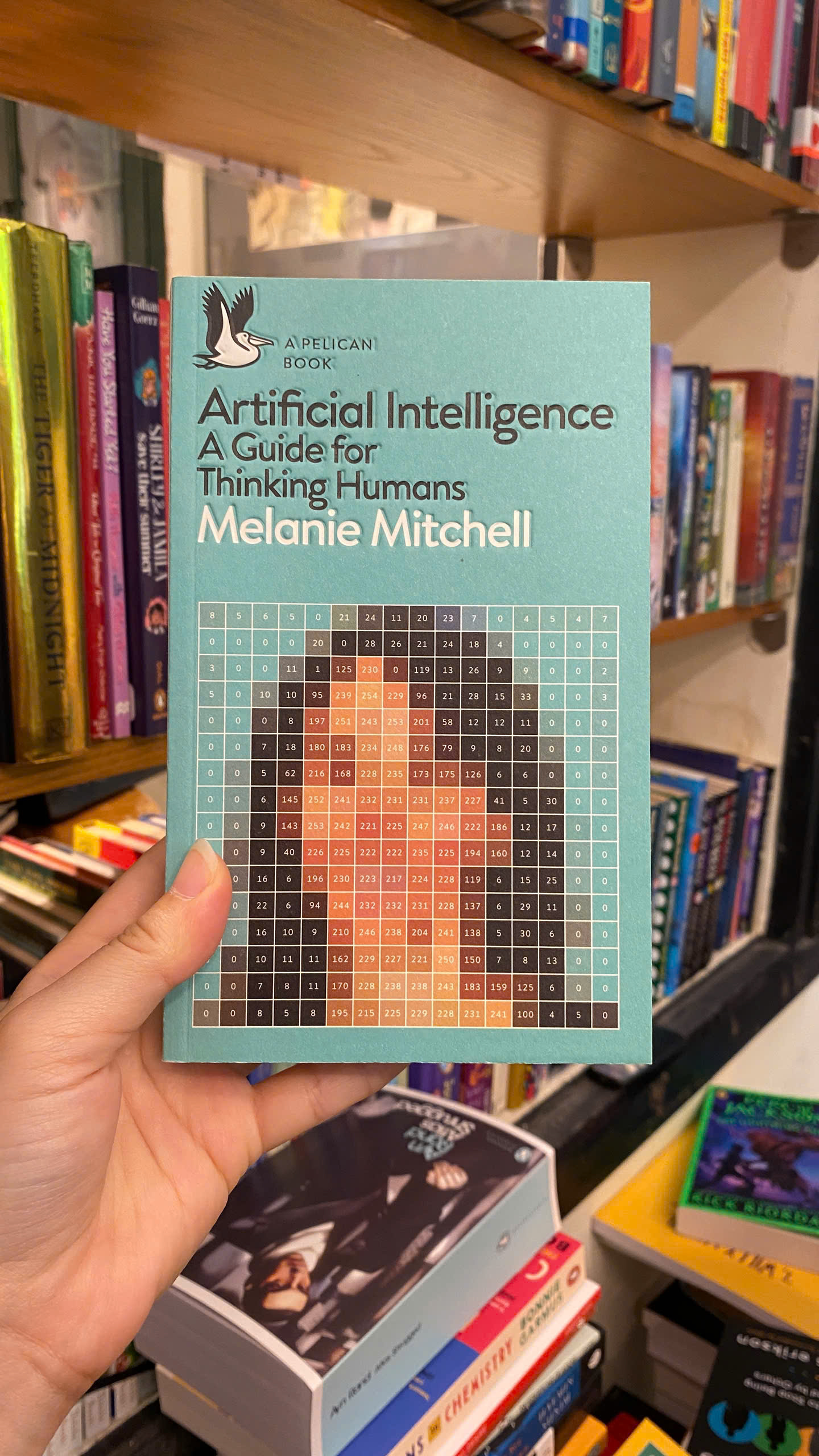 Sách - Artificial Intelligence by Melanie Mitchell | Science / AI / Trí tuệ nhân tạo / Ngoại văn